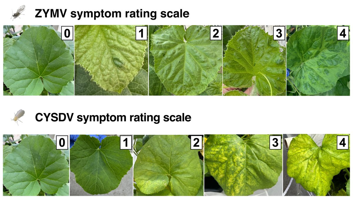 PhytoFrontiers® tweet media