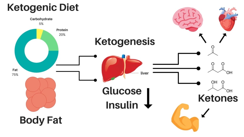 EmillyHDHL's tweet photo. Ketosis Mechanism: How the Body Burns Fat.
#keto #ketonebodies https://t.co/7JowpPkhfM