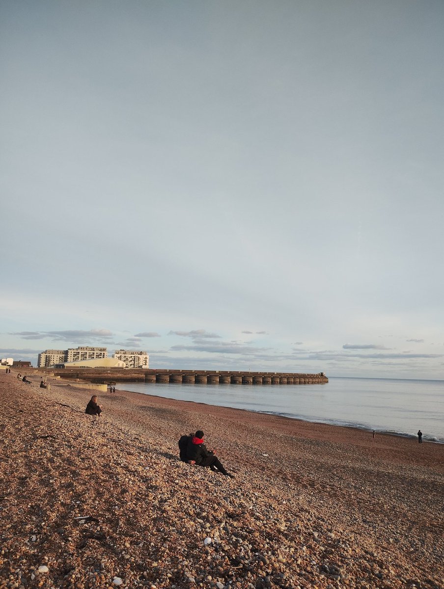 Sarah Tsang 🐐 tweet media