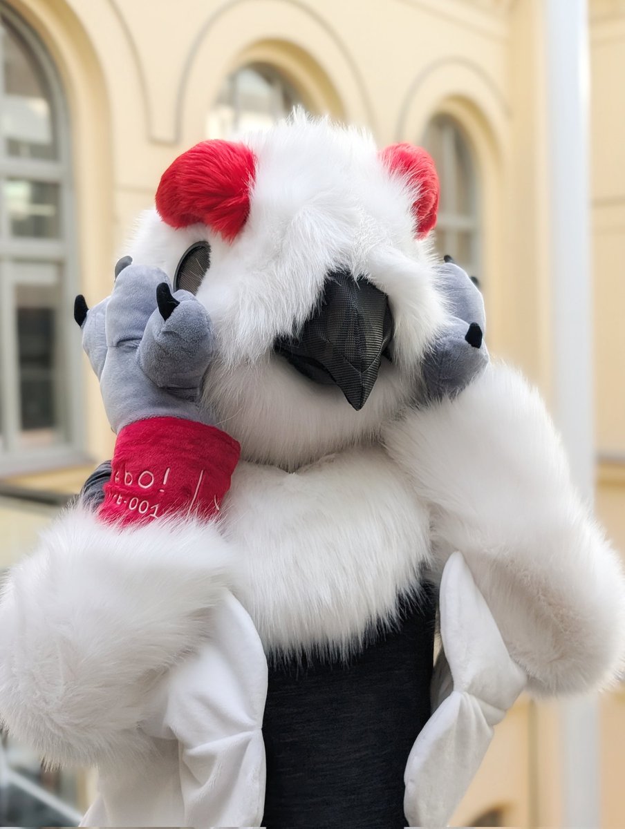 Doreen 💚 tweet media