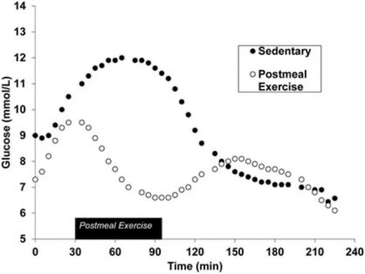 🏔️🍬 CÓMO REDUCIR LOS PICOS GLUCÉMICOS CON EL EJERCICIO 

🦶 Andar 5-20 minutos puede reducir el pico glucémico después de las comidas entre un 15-20% si:
—Andamos a los 0-20 minutos de haber terminado la comida.
—No tendrá ese efecto si andamos antes de la comida.