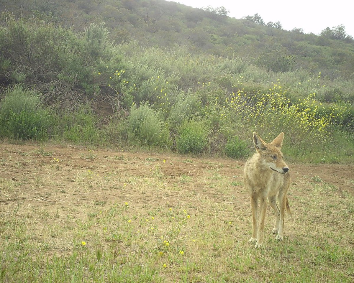 irconservancy tweet media