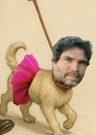 mexic1988's tweet photo. @DerechaDiarioMX 🤣🤣🤣🤣🤣pasquin @DerechaDiarioMX ya no saben que inventar "usuarios” dos personas y su líder que onda la perra de usa @EVerastegui https://t.co/s9sBYJGQS9