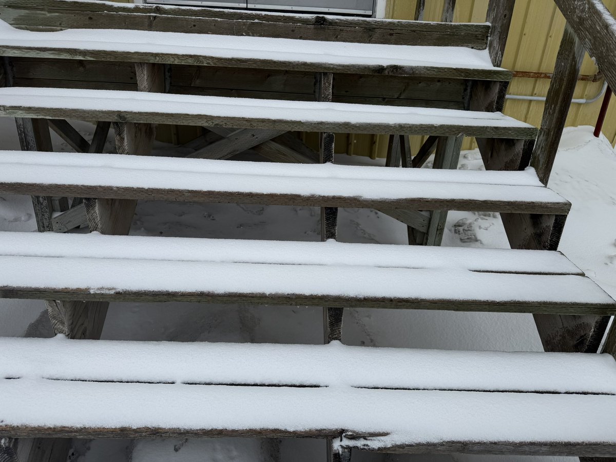 Jeff Calder 🏴☠️🦆 tweet media