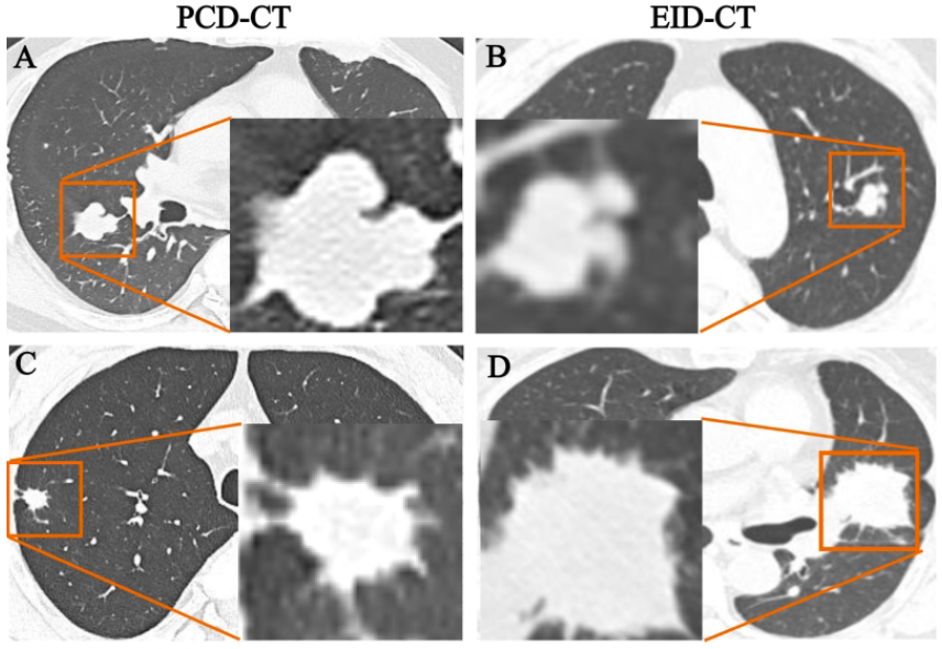 Nadine Bayerl, MD tweet media