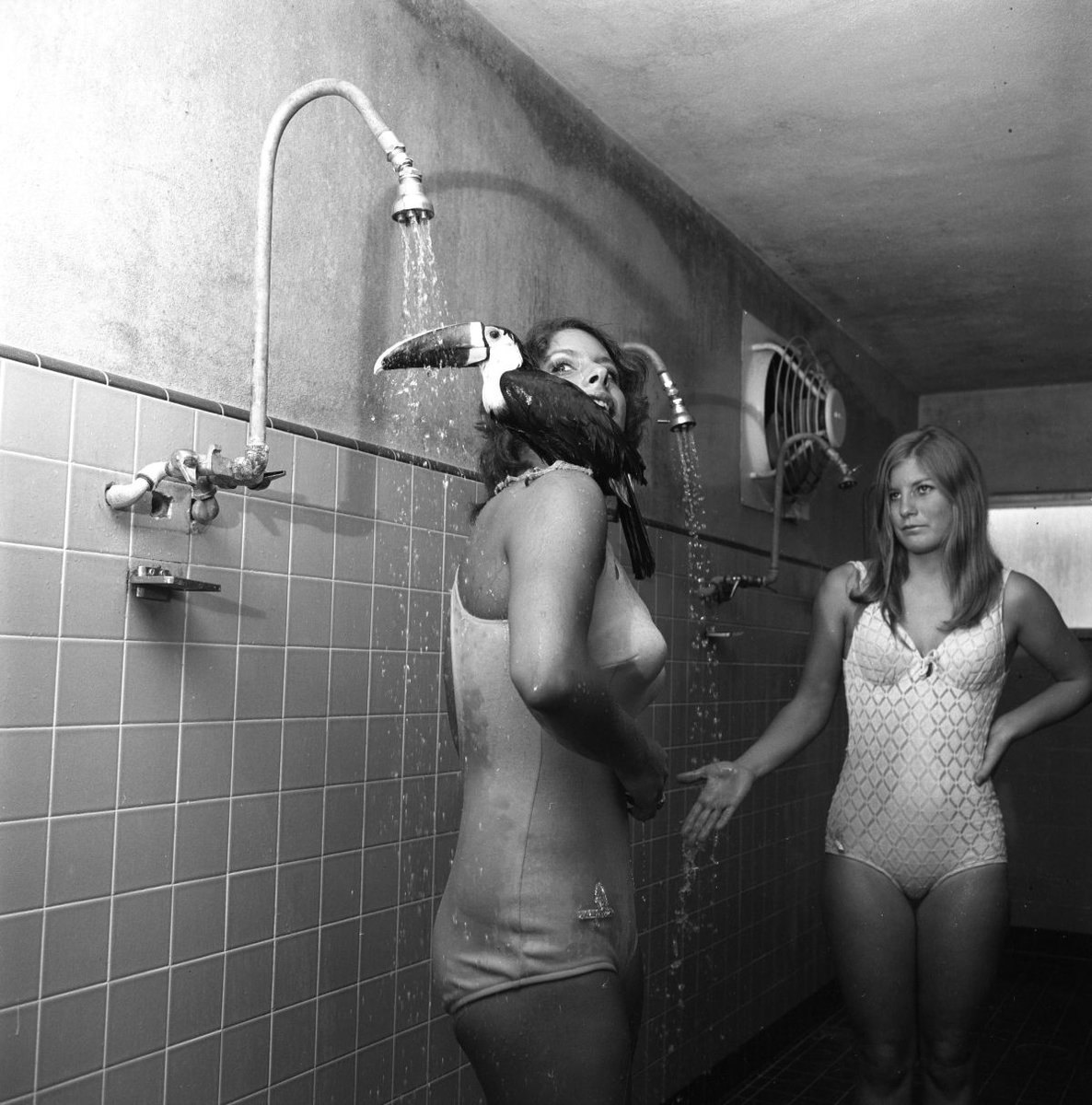 Florida Memory tweet media