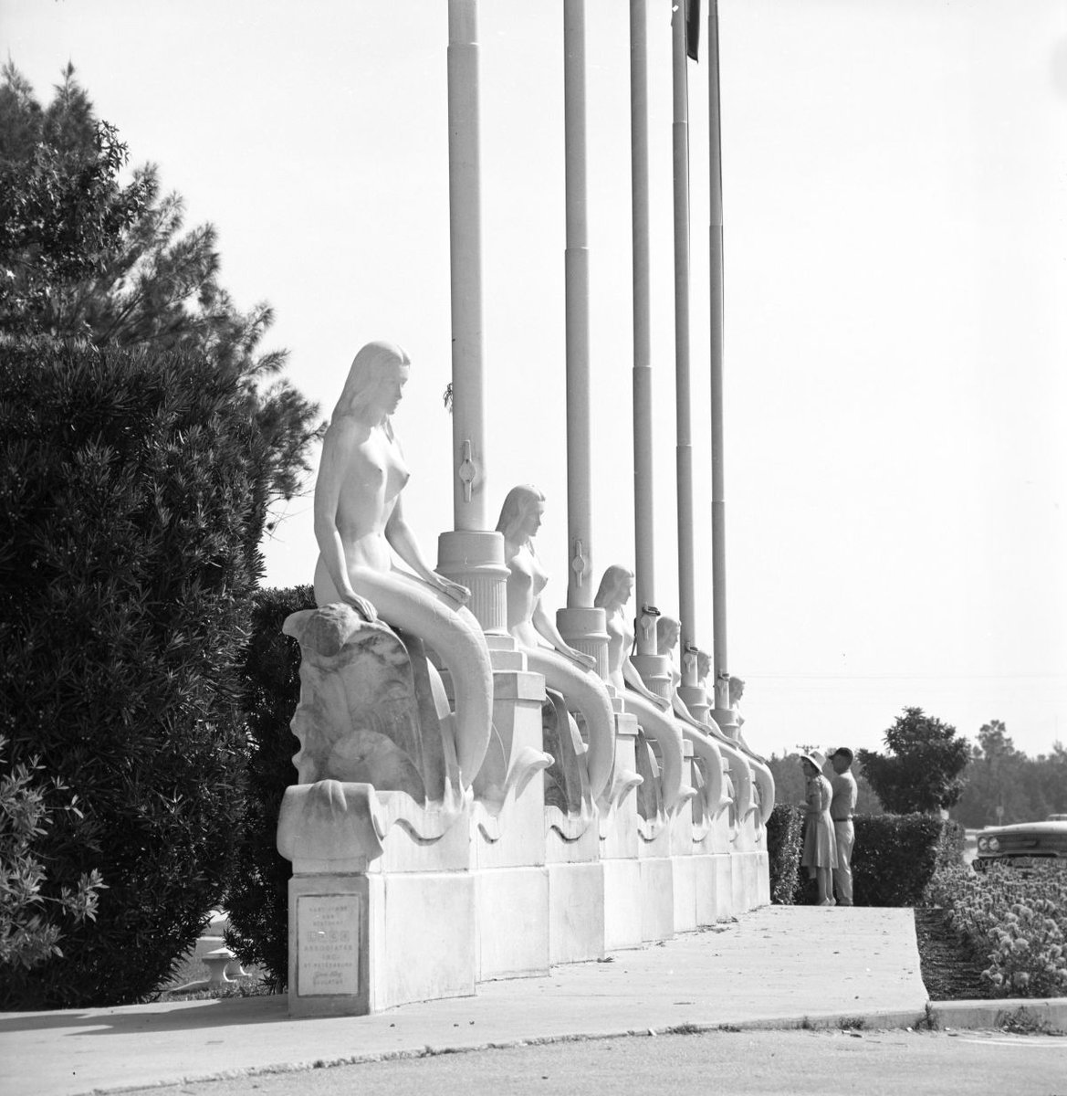 Florida Memory tweet media