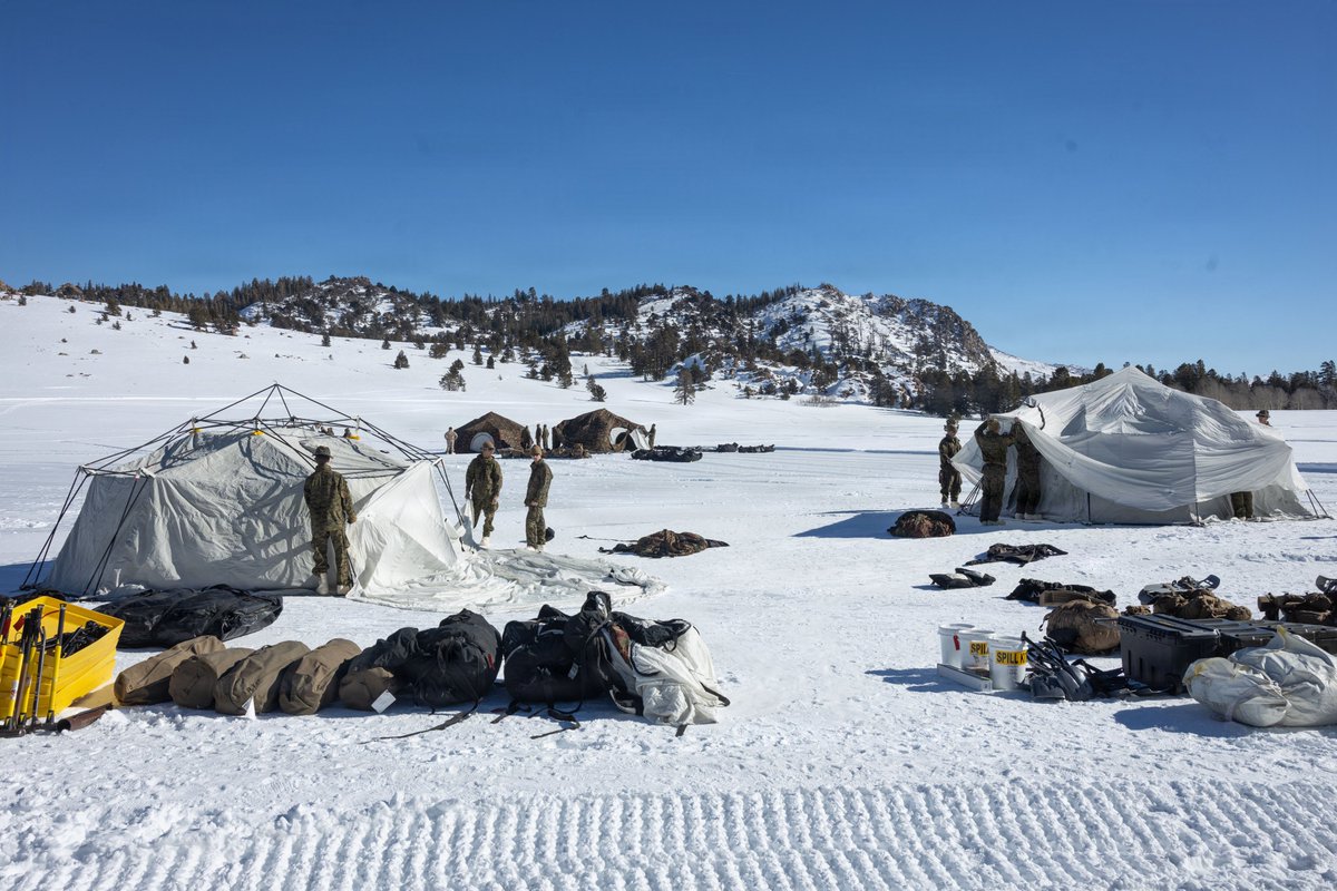 2nd Marine Logistics Group tweet media