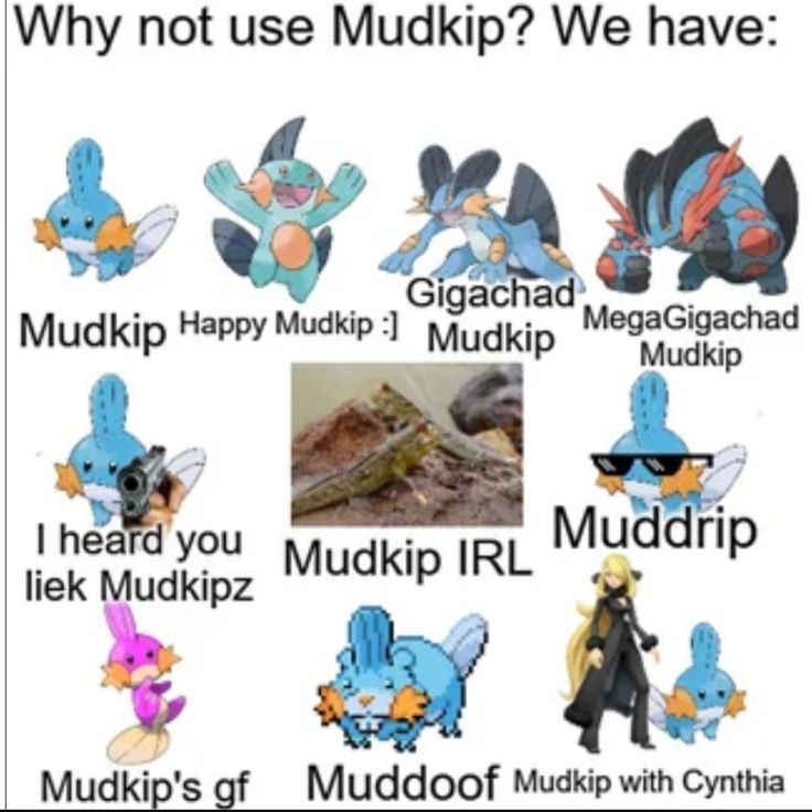 Pokémon Posts tweet media