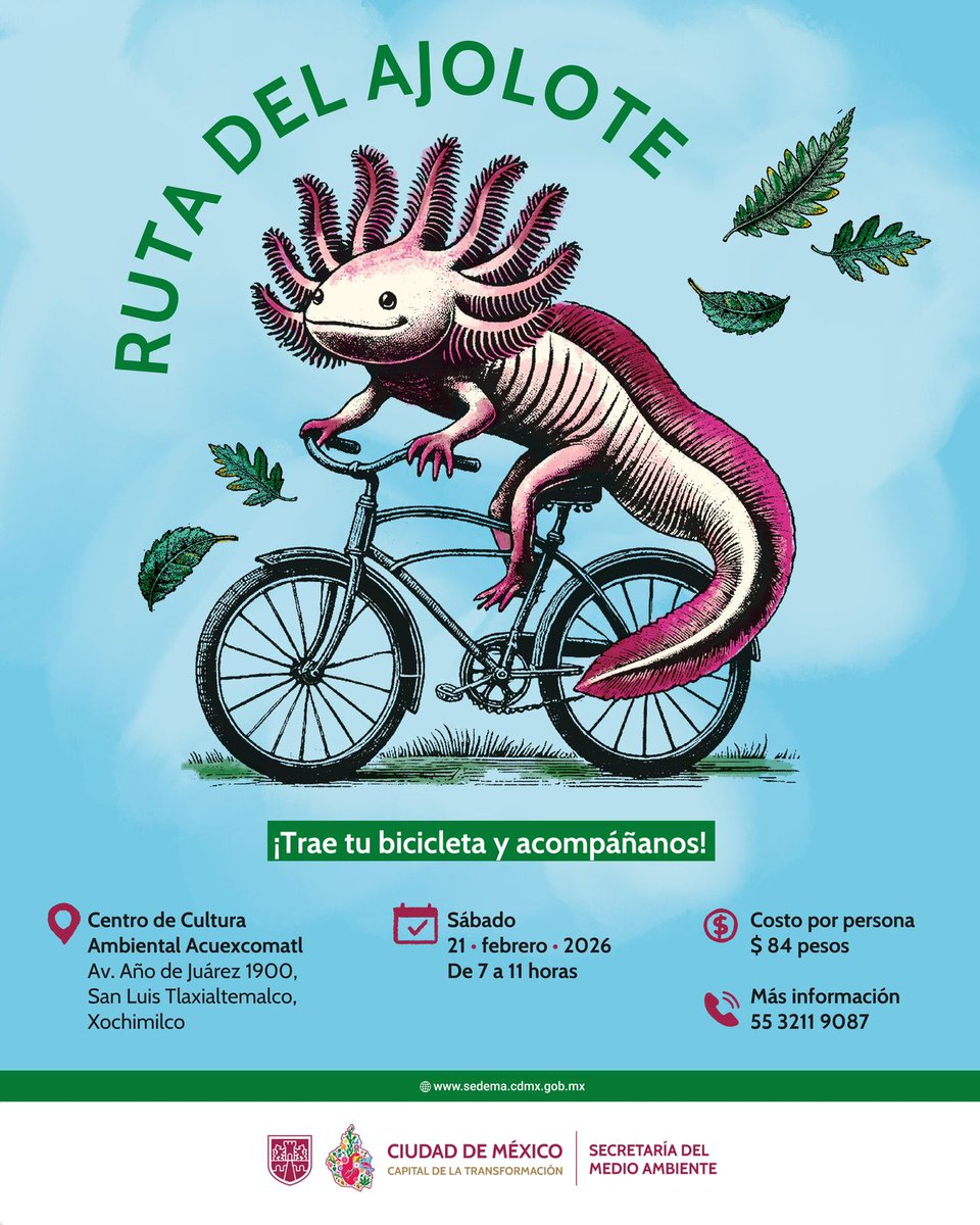SEDEMA_CDMX's tweet photo. La Ruta del Ajolote te espera para vivir un día genial y conectar con la riqueza natural de nuestra ciudad.
Acompáñanos este sábado 21 de febrero de 7 a 11 h. en el CCA Acuexcomatl.
Costo por persona: $84.

Regístrate: https://t.co/6Oh1SW4H1D https://t.co/rFSf5TUL9a