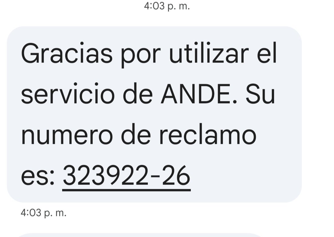alejandra chena tweet media