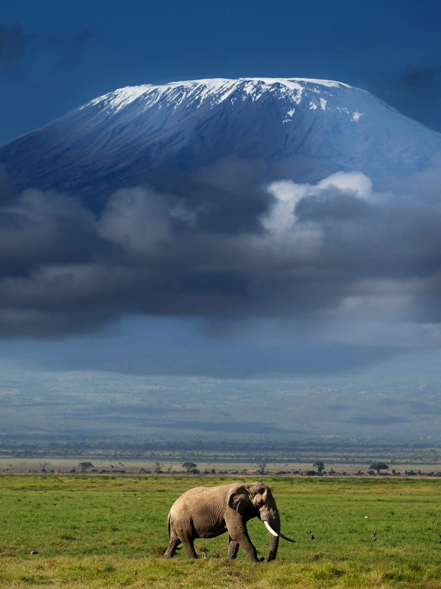 Beautiful view of Mount Kilimanjaro from Kenya. 💚