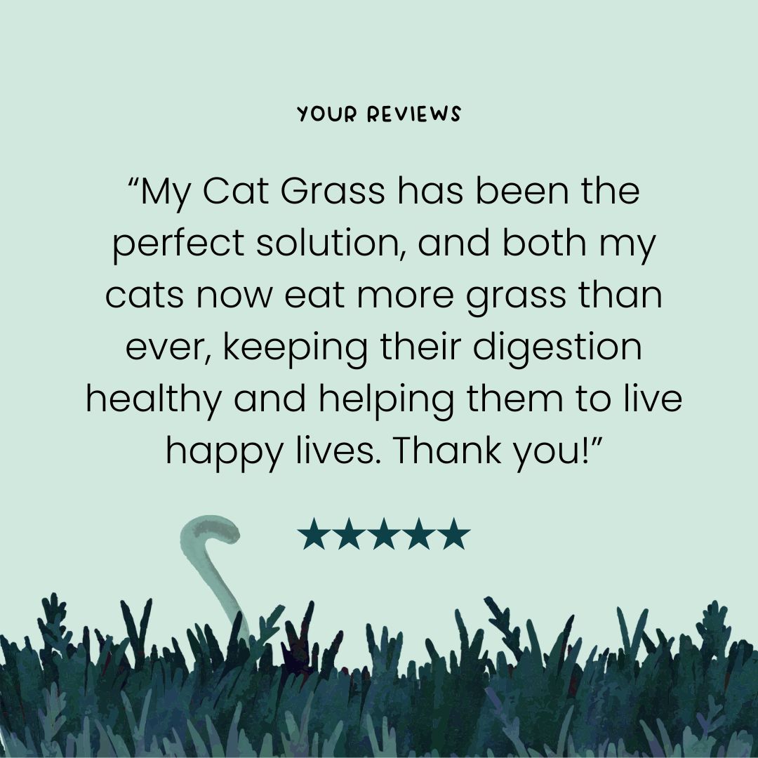 MyCatGrass's tweet photo. We're glad to have helped with your cats intestinal motility! Happy litter trays and zoomies for days... https://t.co/qz9LYHlJzO