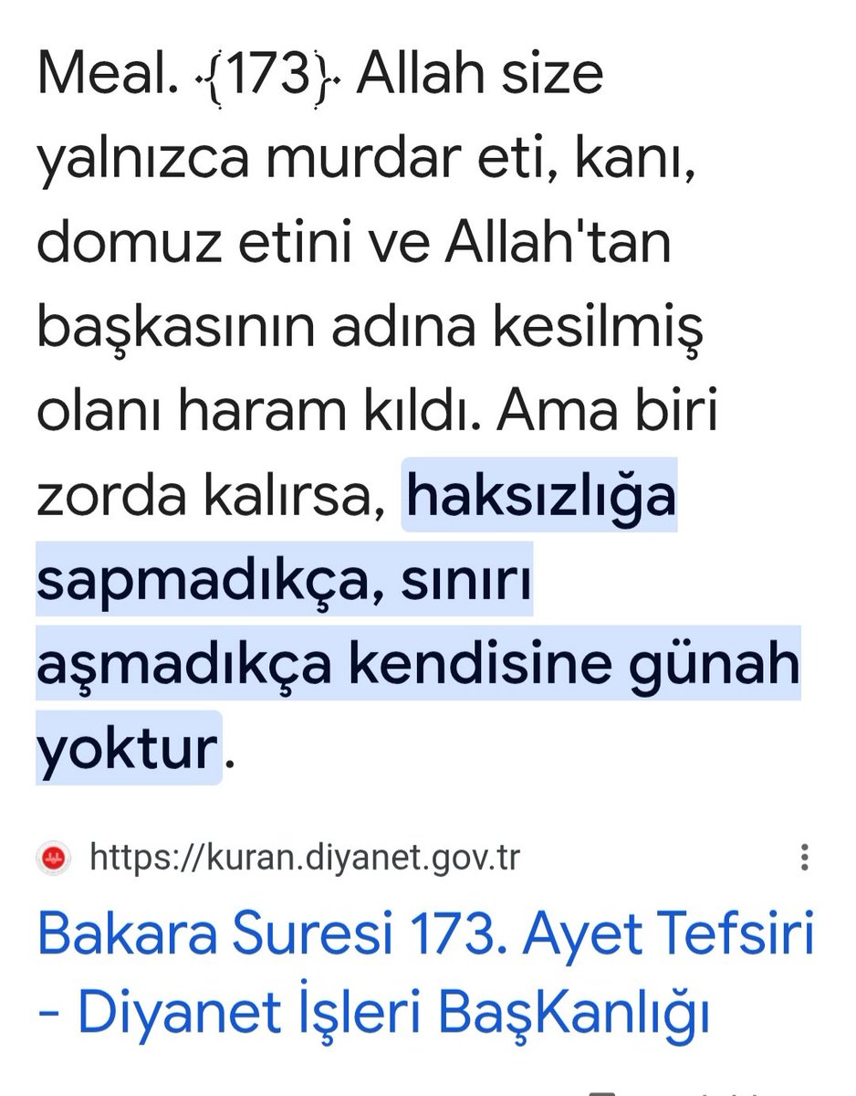 Domuz eti mi, dediniz? Şimdi et fiyatlarının bu kadar fahiş olduğu bir ortamda et alamayan yoksullar domuz avlayıp çocuklarına yedirse ne olur? Kimbilir belki mecbur kalıp  yediren de vardır. Peki günaha girmiş olur mu? Hayır.. Bakın ben değil, Kur'an diyor.