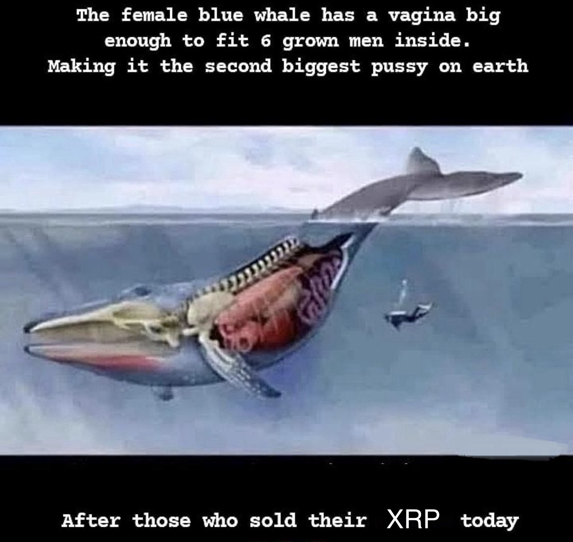 𝓐𝓶𝓮𝓵𝓲𝓮 tweet media