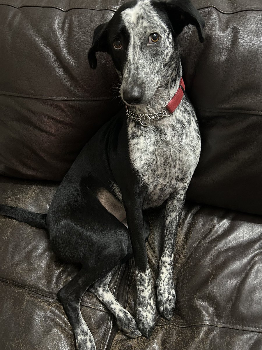 すくすくと育って20キロ。