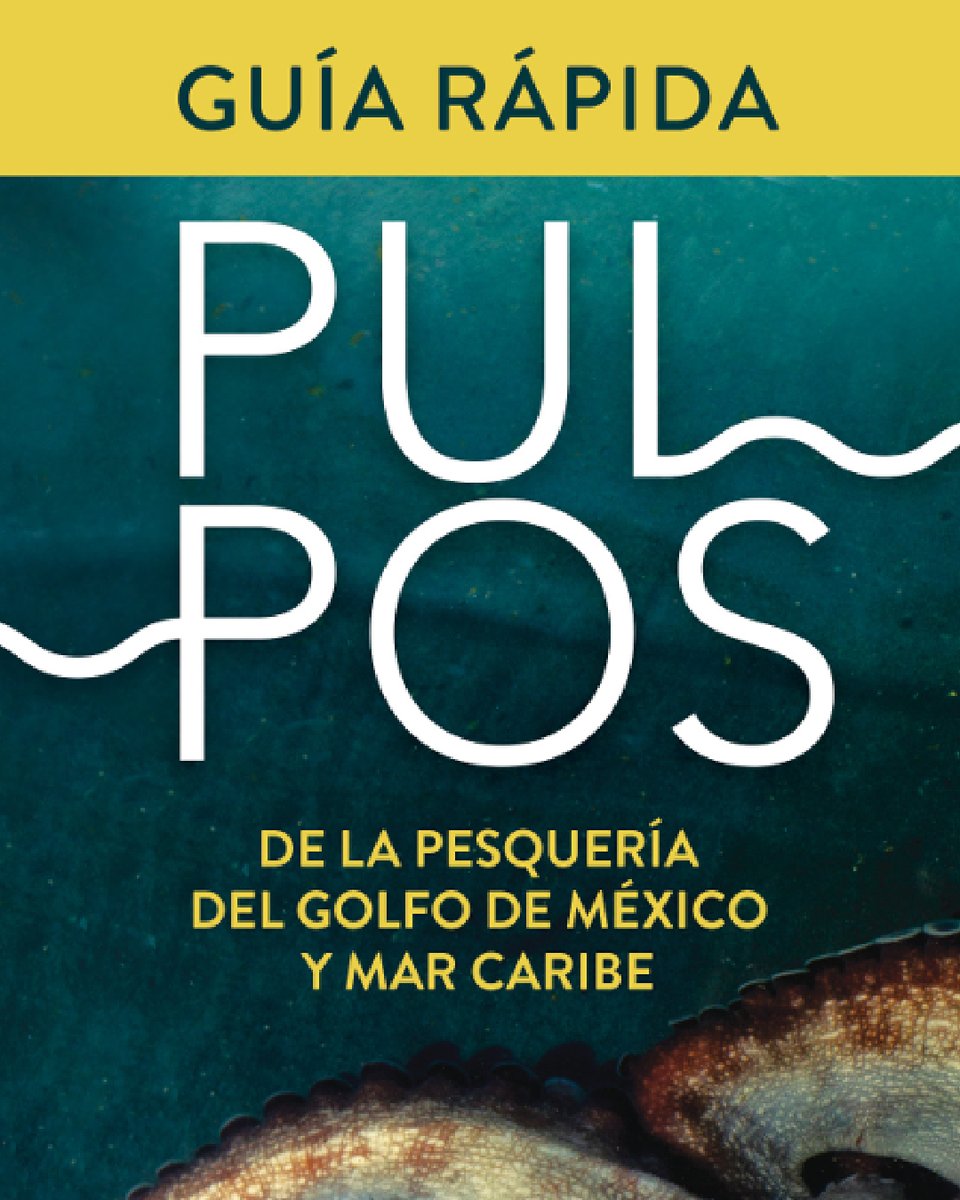 EDF en Español tweet media