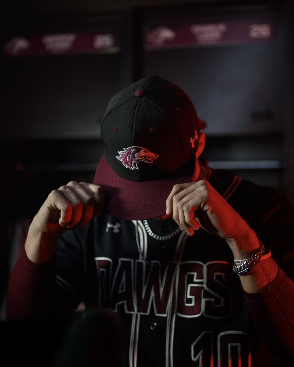Saluki Baseball tweet media