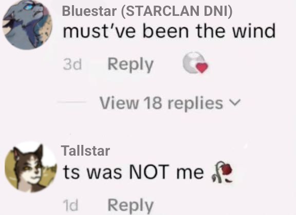 Furreyra tweet media