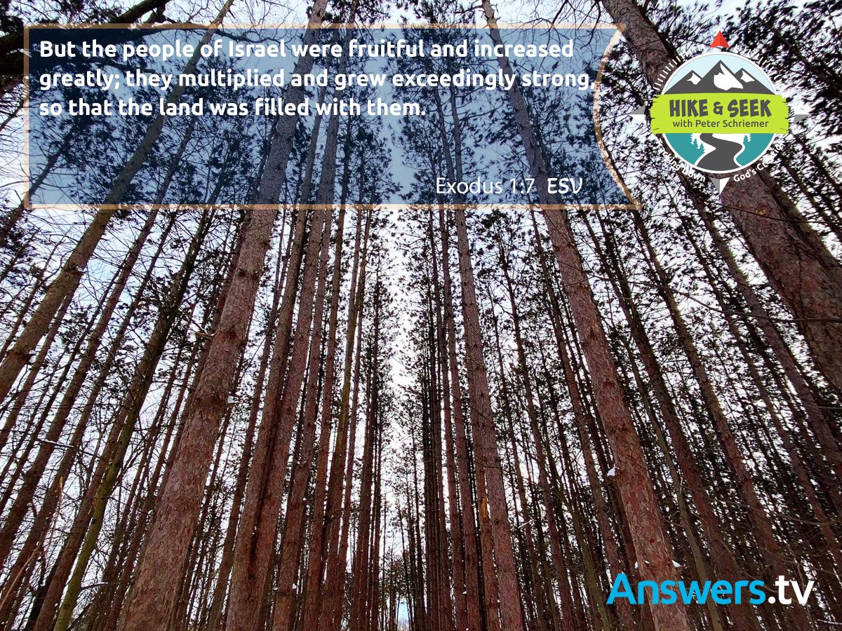 Answers.tv (@answers_tv) on Twitter photo 