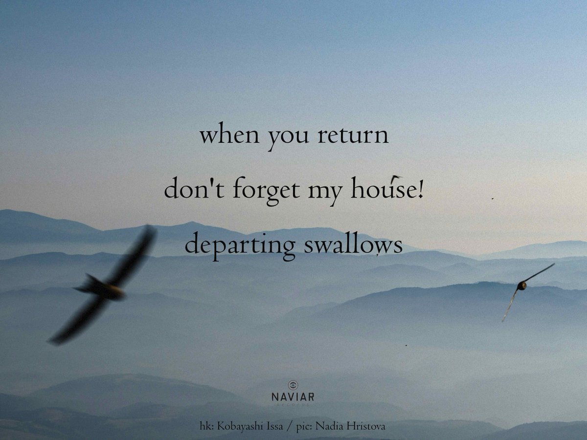 Naviar Records tweet media