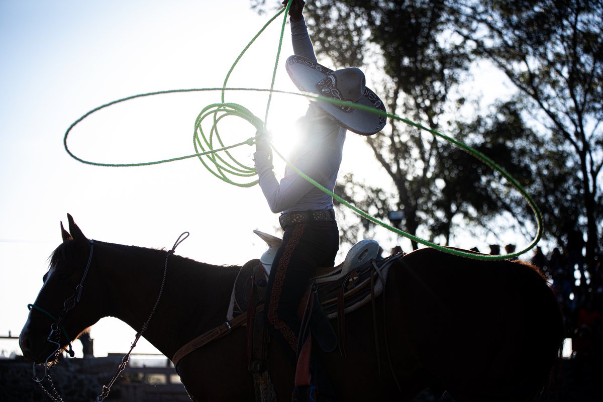 Santiago Lozano N tweet media