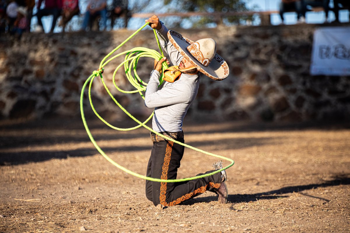 Santiago Lozano N tweet media