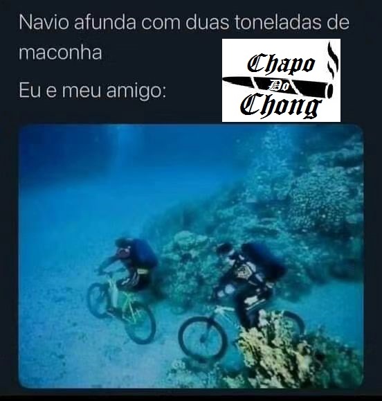 Chapo Do Chong tweet media