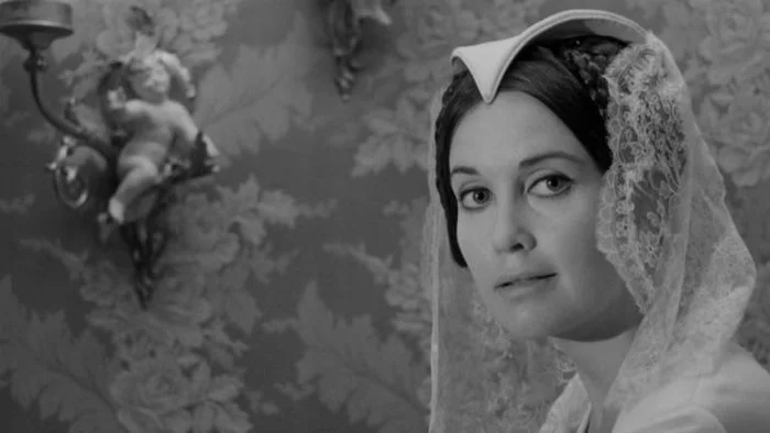 Analog Film NYC tweet media