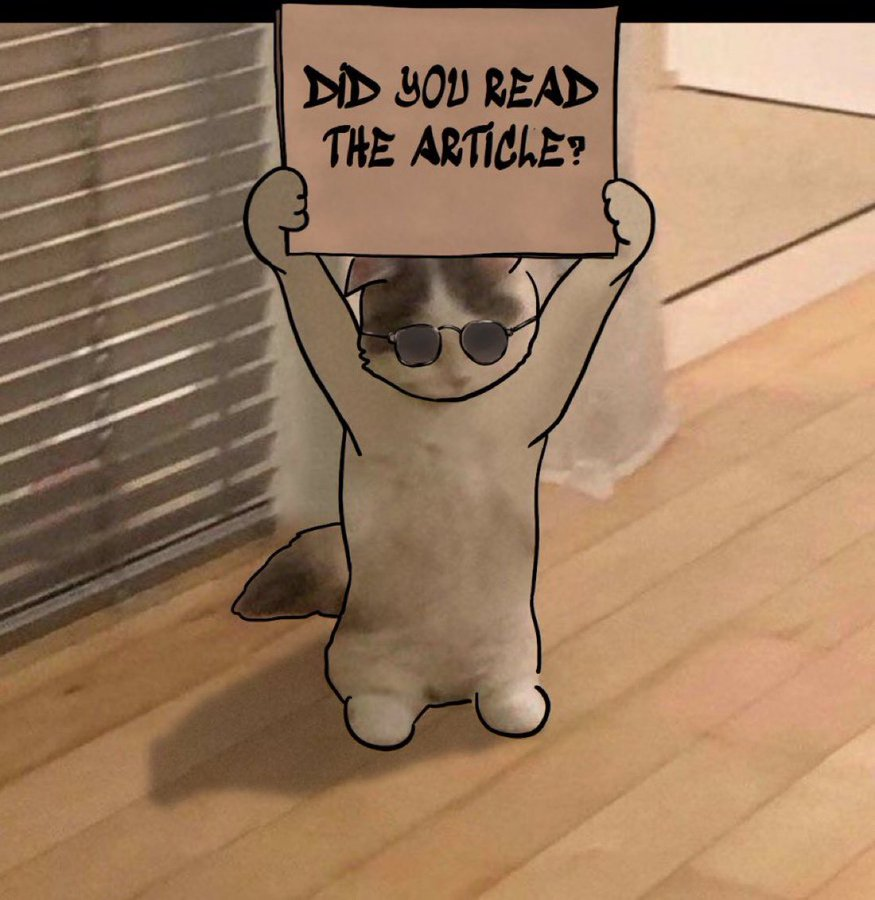 BUT DID YOU READ THE $MICHI ARTICLE?