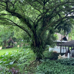 DOJ Environment and Natural Resources Division tweet media