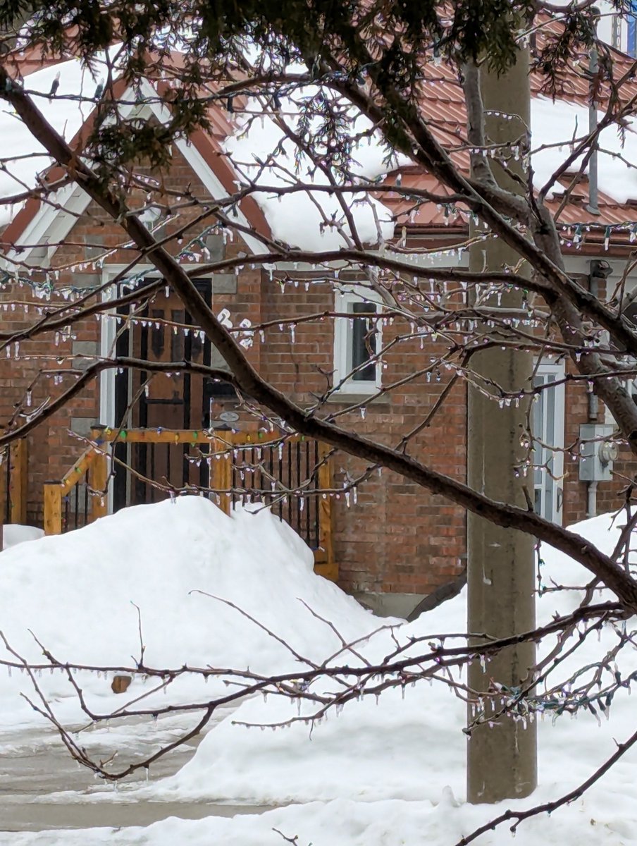 David_Alan_Gay's tweet photo. Fvck this ice hell of a #Winter #OntStorm https://t.co/69ZHyRNnCX