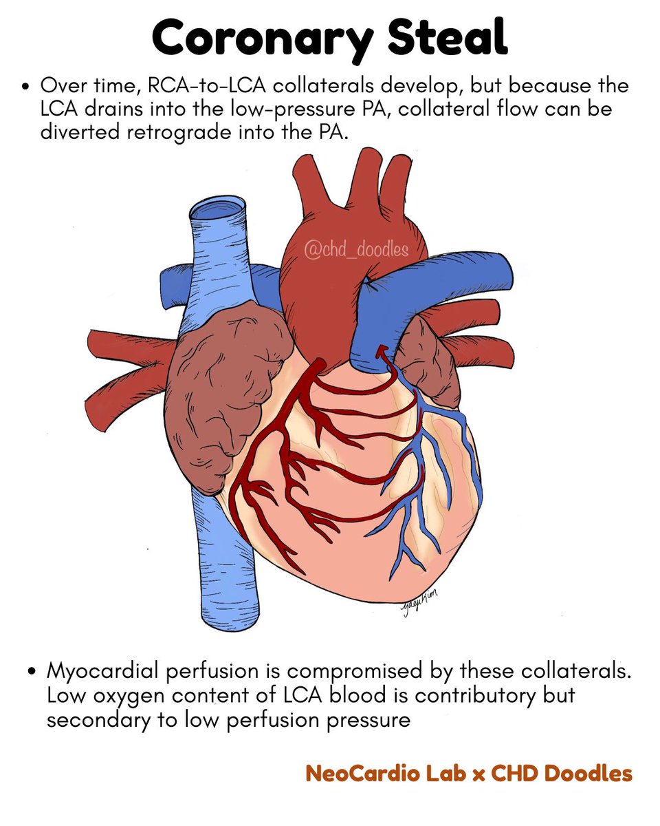 NeoCardioLab - Gabriel Altit tweet media