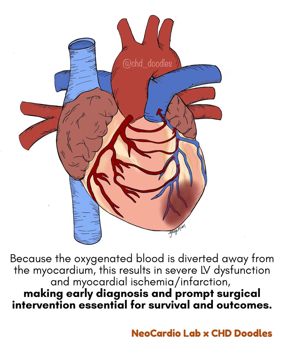 NeoCardioLab - Gabriel Altit tweet media