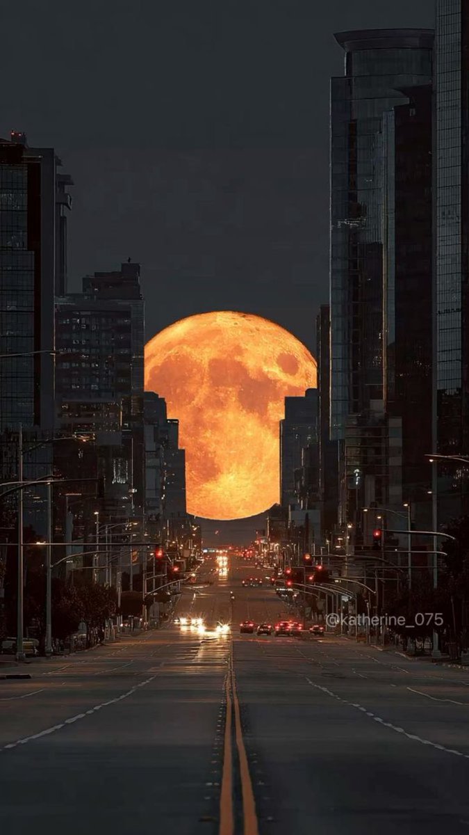 MOON LOVER tweet media