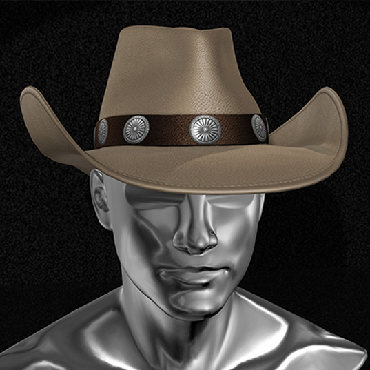 Roger_pimentel7's tweet photo. 1170 Hat Cowboy Cowgirl UNISEX HUD 18 Colors V2
https://t.co/tRWkxxcb6z
#slmarketplace #metaverse #riorise #secondLife #imvu #Sansar #opensim #avakinlife #sinespace #vrchat #recroom #blender3d #b3d #glTF #gta #thesims #curitibabrasil #brown https://t.co/XkfxuF58cj