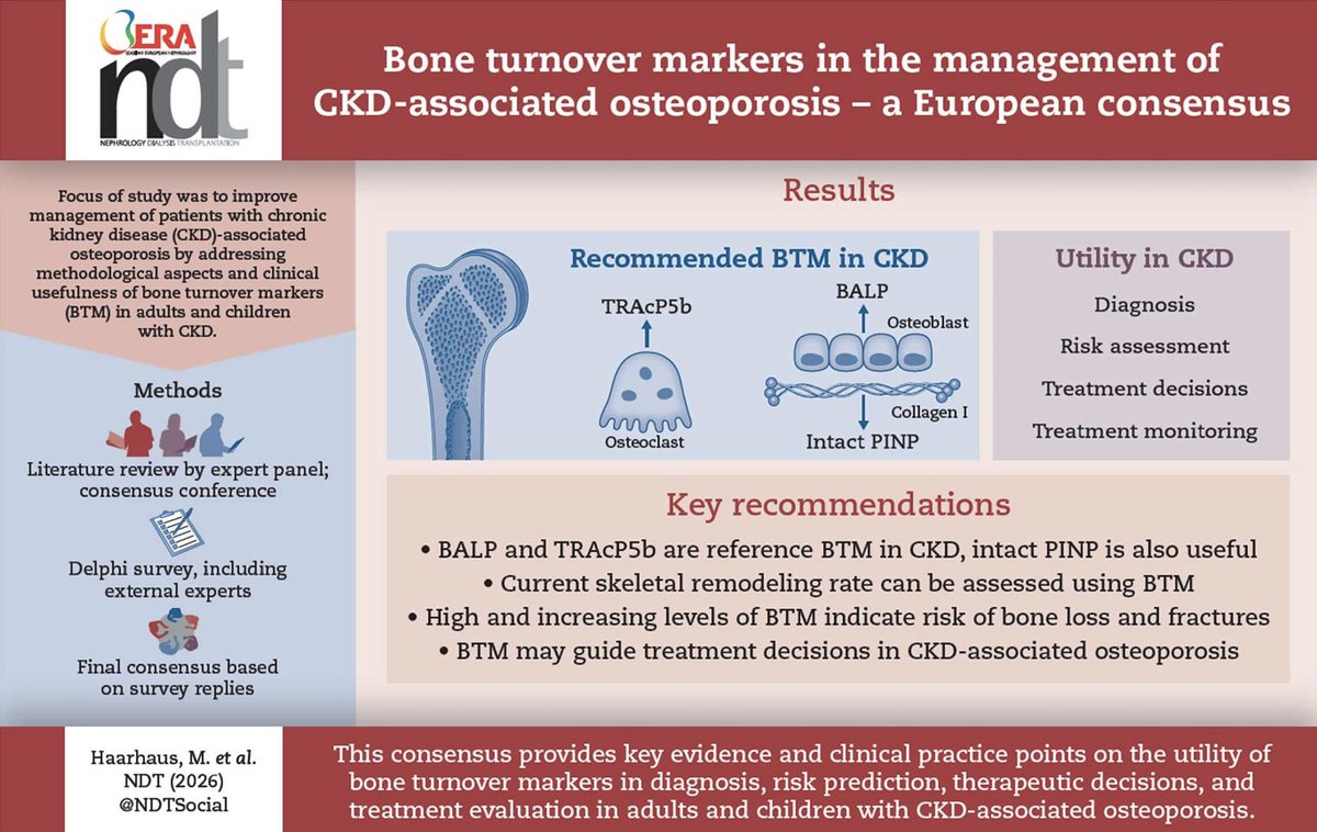 alb_giraldo's tweet image. #Bone turnover abnormalities are common in chronic #kidney disease (CKD), contributing to bone #fragility. KDIGO uses the term “CKD-associated #osteoporosis” and highlights bone turnover markers (BTM) for its evaluation and management, though guidelines lack specific BTM targets.