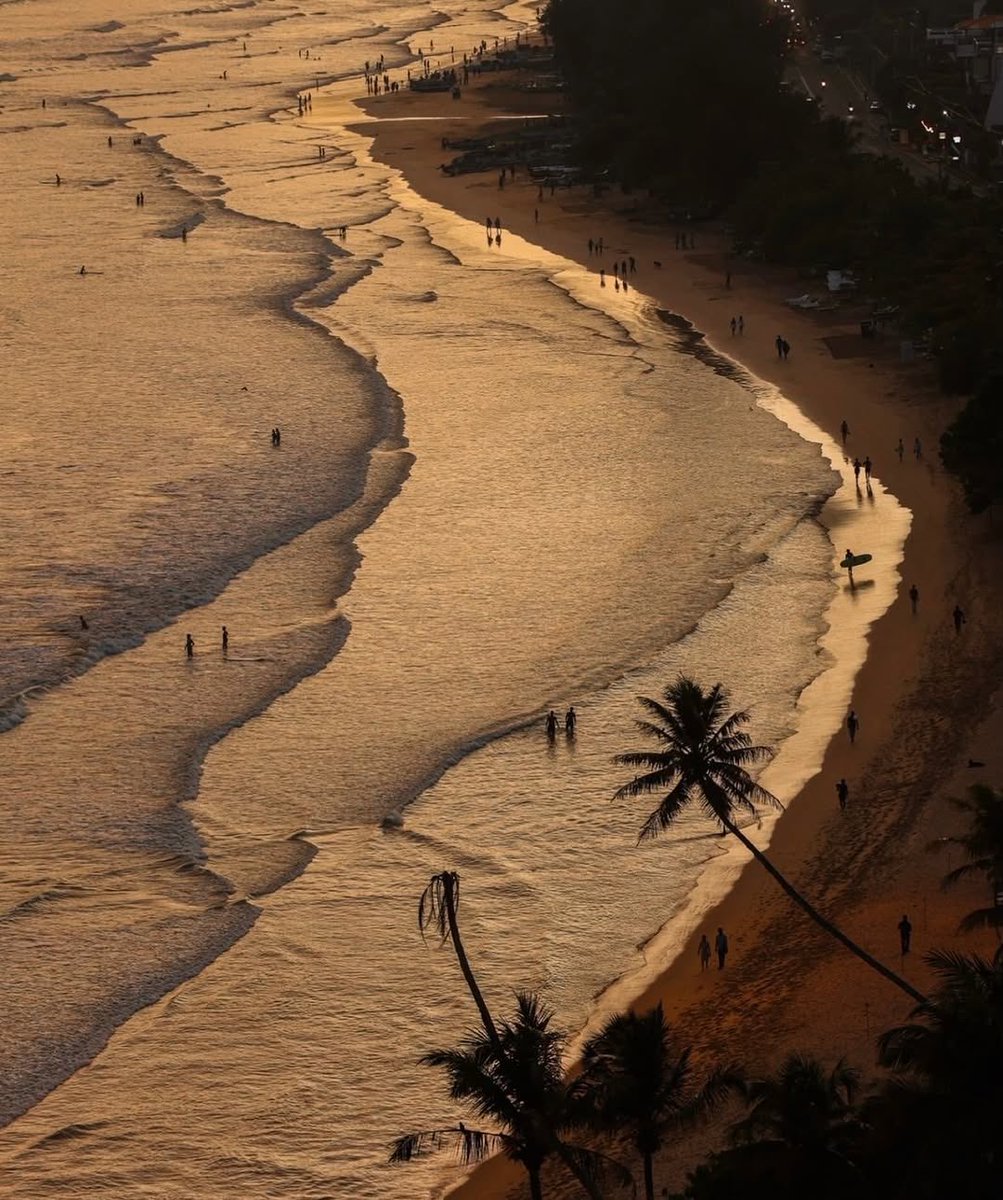 Butterflless's tweet image. 