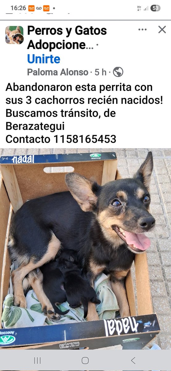 Soy Teresa (@salvemospilar) on Twitter photo 