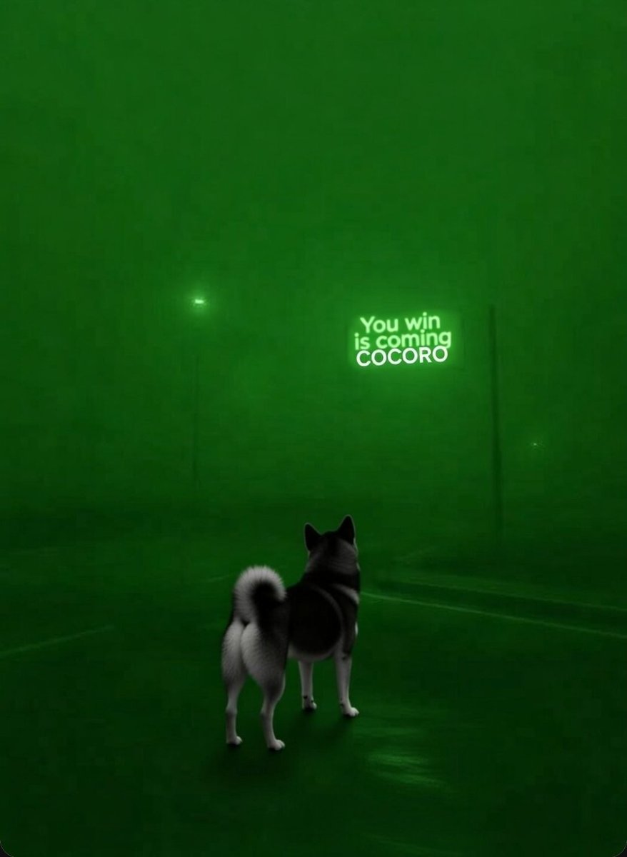 <a href="/tvbzify/">tab</a> Claim it
<a href="/BlackShib_DOGE/">Cocoro</a> season is coming