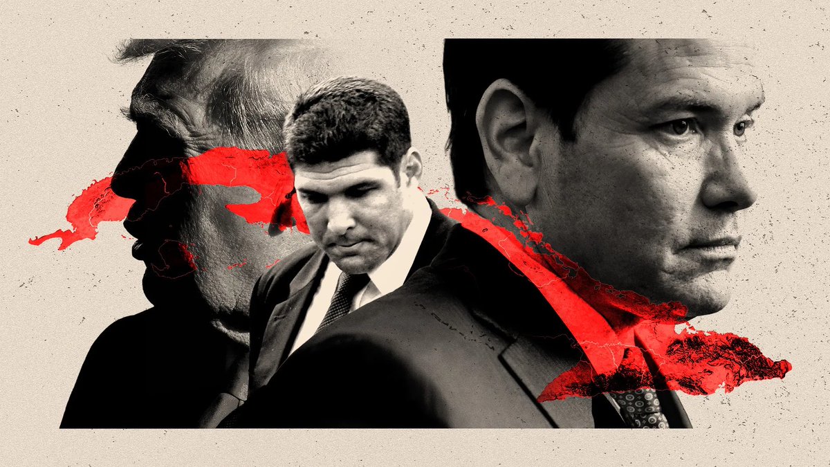 El Necio tweet media