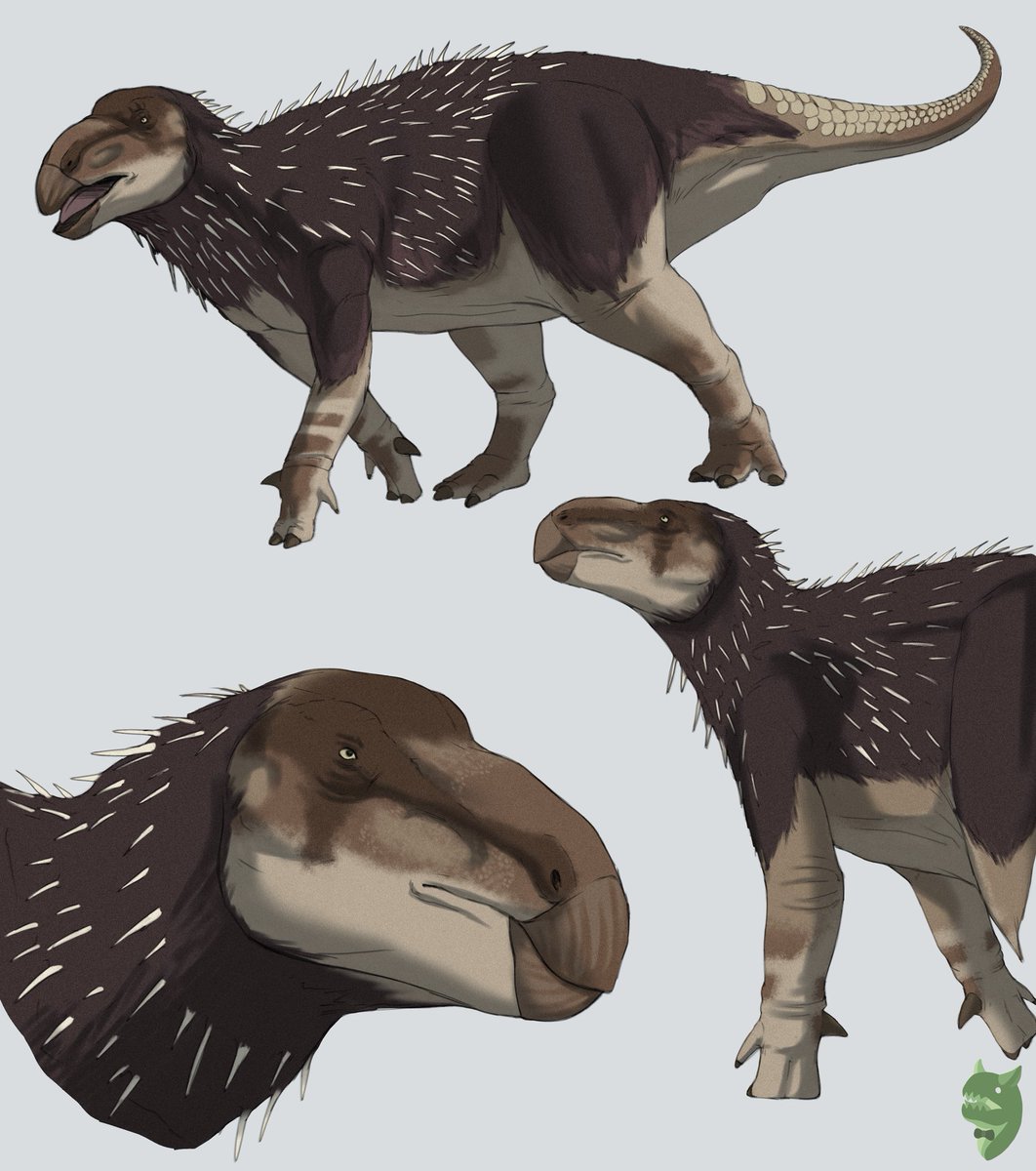 Angel_88v's tweet image. Haolong dongi 🦔