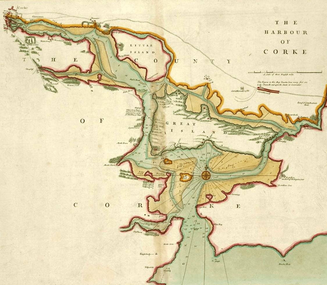 Andrew Cusack tweet media