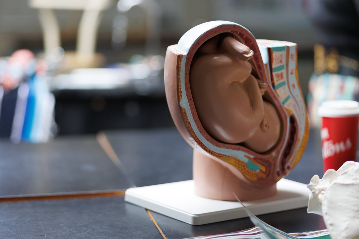 Gathering Our Voices tweet media