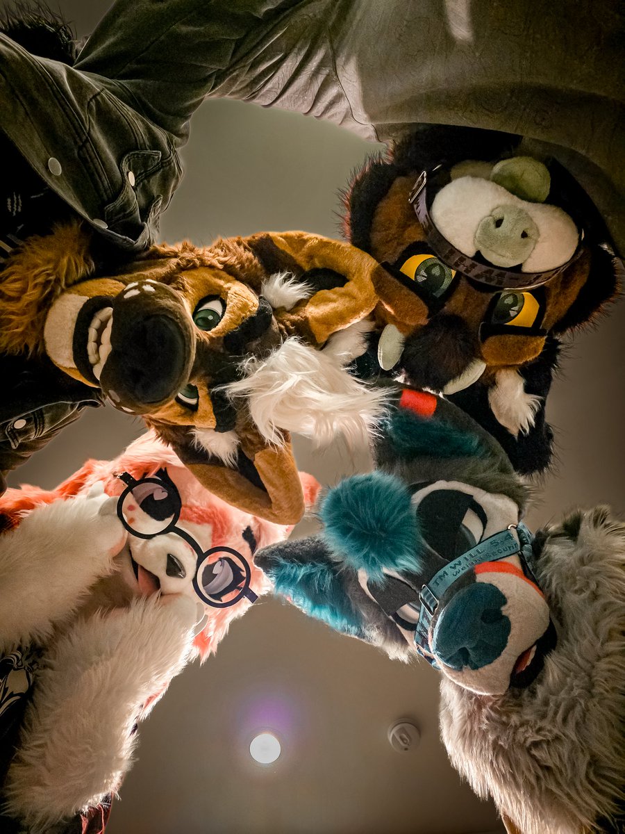 Rex🦎🔜FWA tweet media