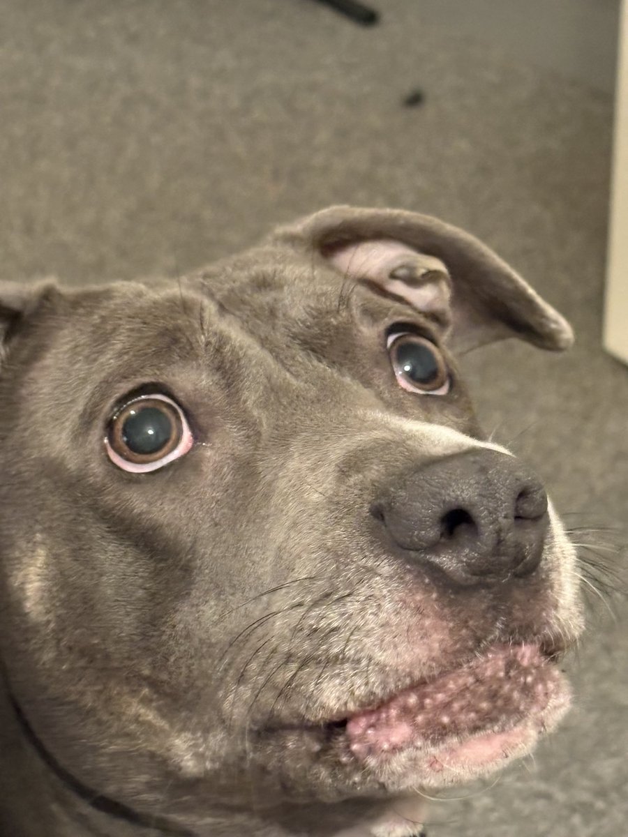 crimes.
mother,
I must commit crimes.