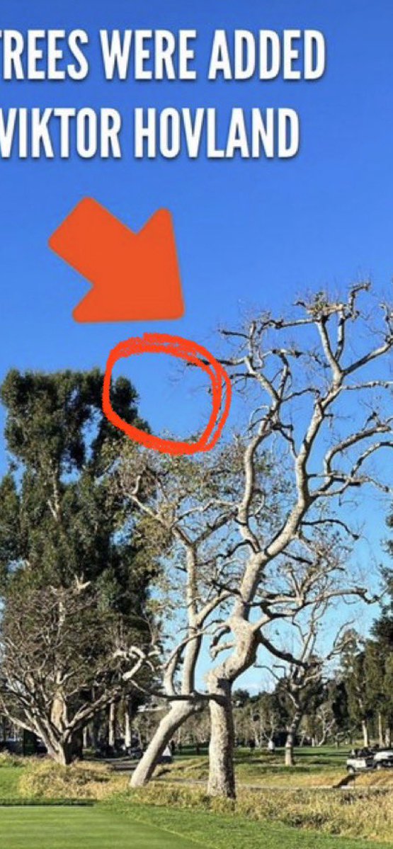 Ryan Mouque tweet media