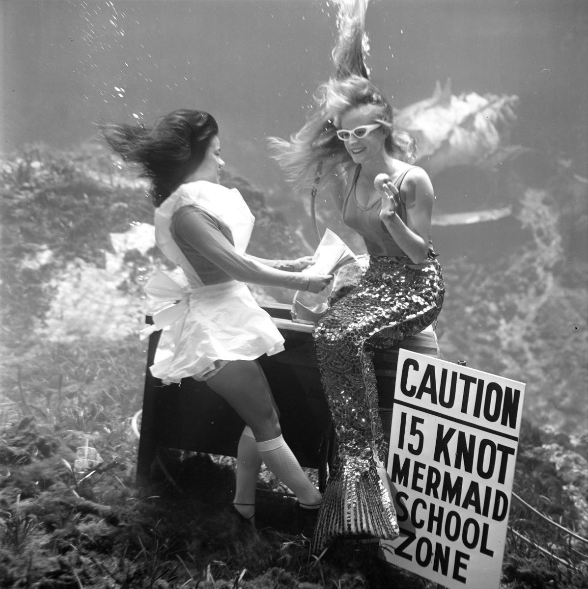 Florida Memory tweet media