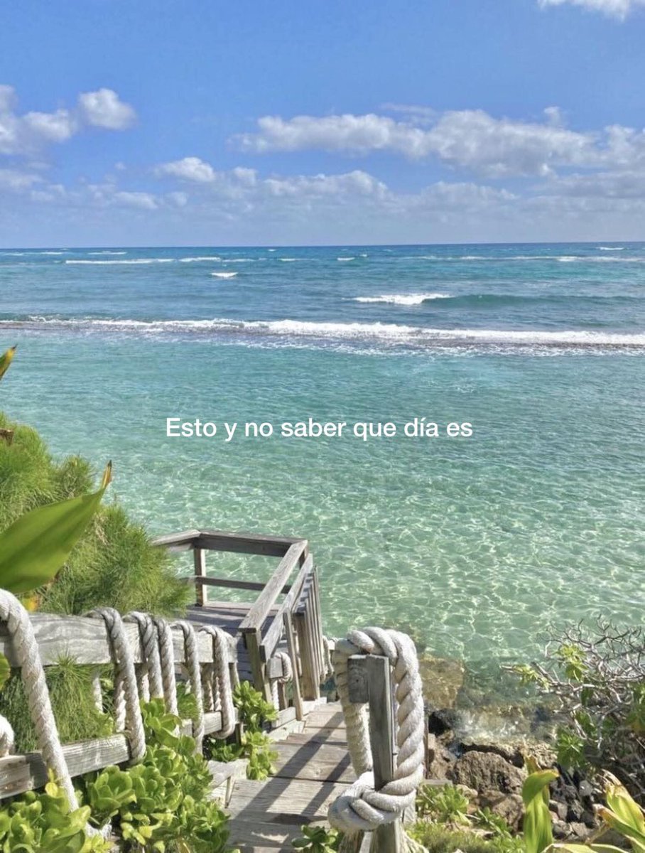 nxstypxet's tweet image. 