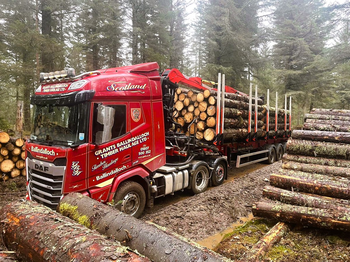 DAFTrucksUK's tweet image. The DAF XF earning its keep for Grants Ballindalloch Timber Haulage Ltd 💪

📷 HGV Driver John Donald

#DAF #Trucks #Timber #Haulage #Trucking